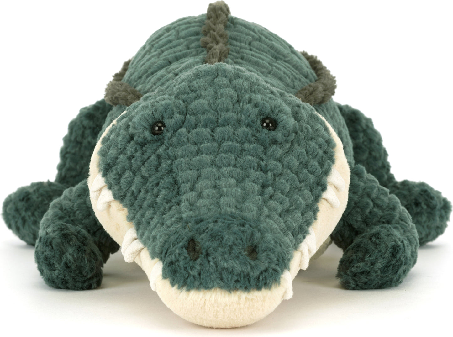 Allexi Alligator