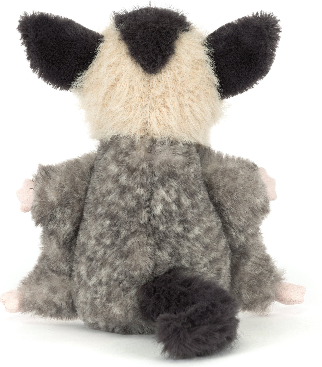Lolly Sugar Glider