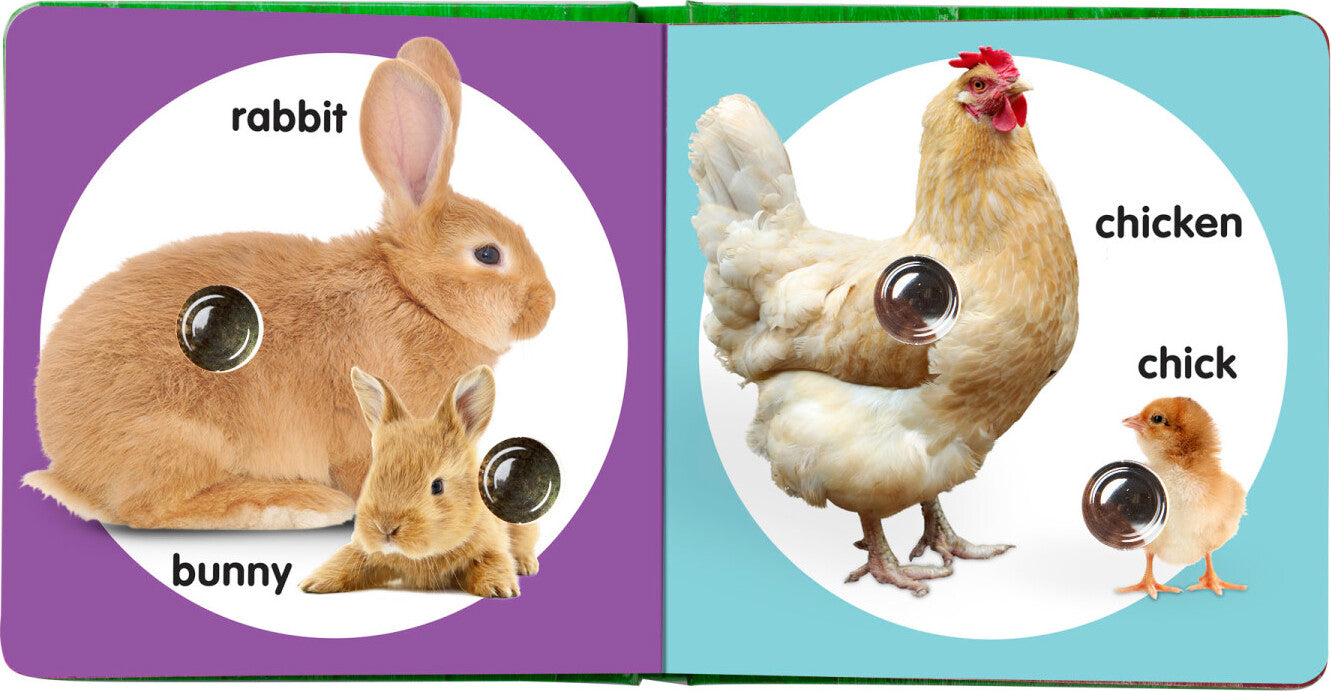 Poke-A-Dot: Farm Animal Families