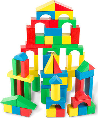 100 Wood Blocks Set