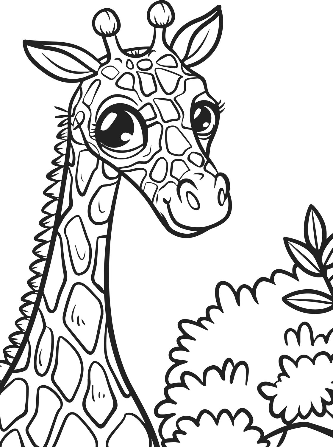 Animal Kingdom XXL Coloring Book