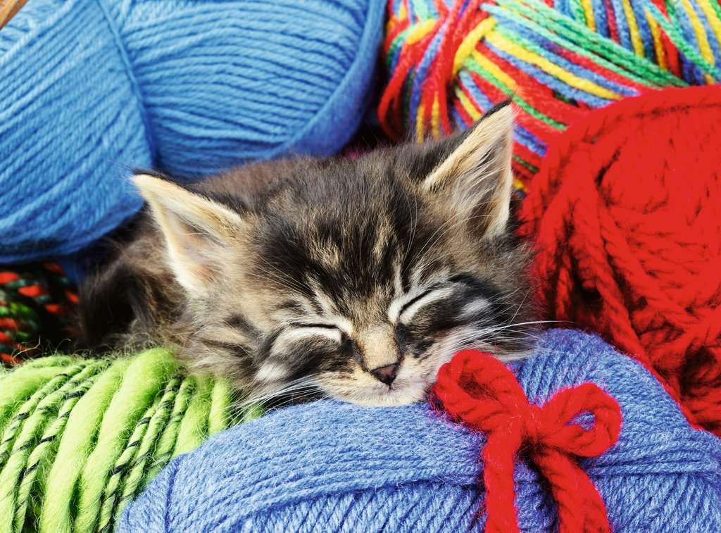 Wool Cat Puzzle (100 pc)