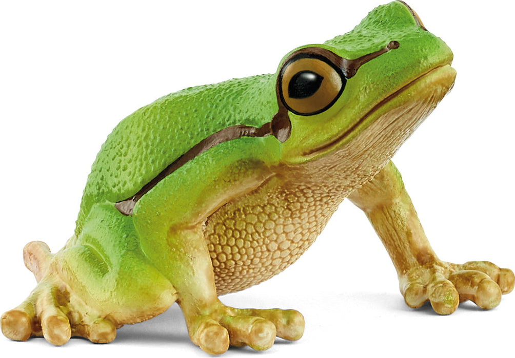 schleich WILD LIFE European Tree Frog