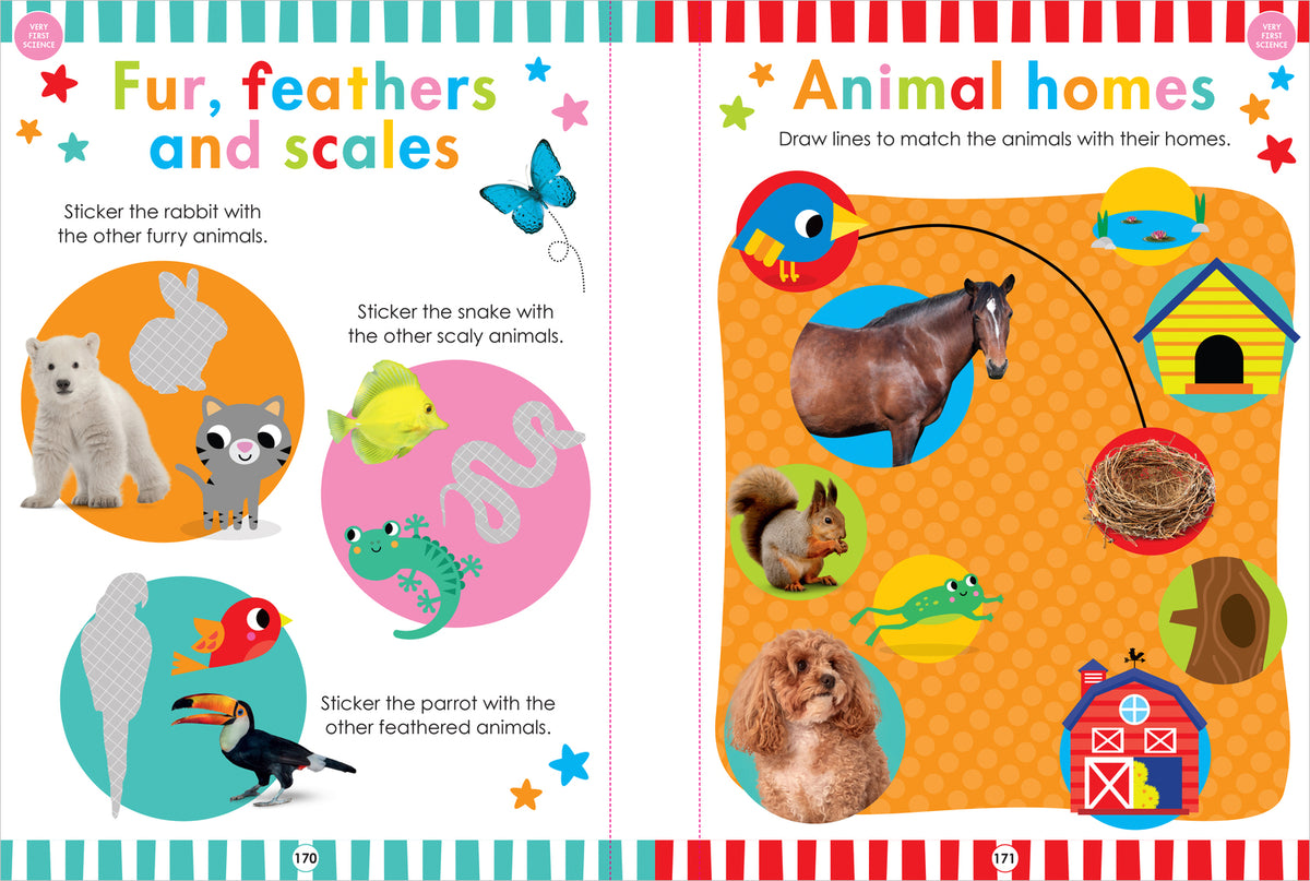 Pre-K Jumbo Workbook: Scholastic Early Learners (Jumbo Workbook) 