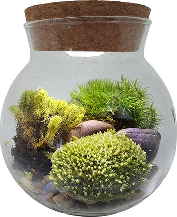 MossBowl