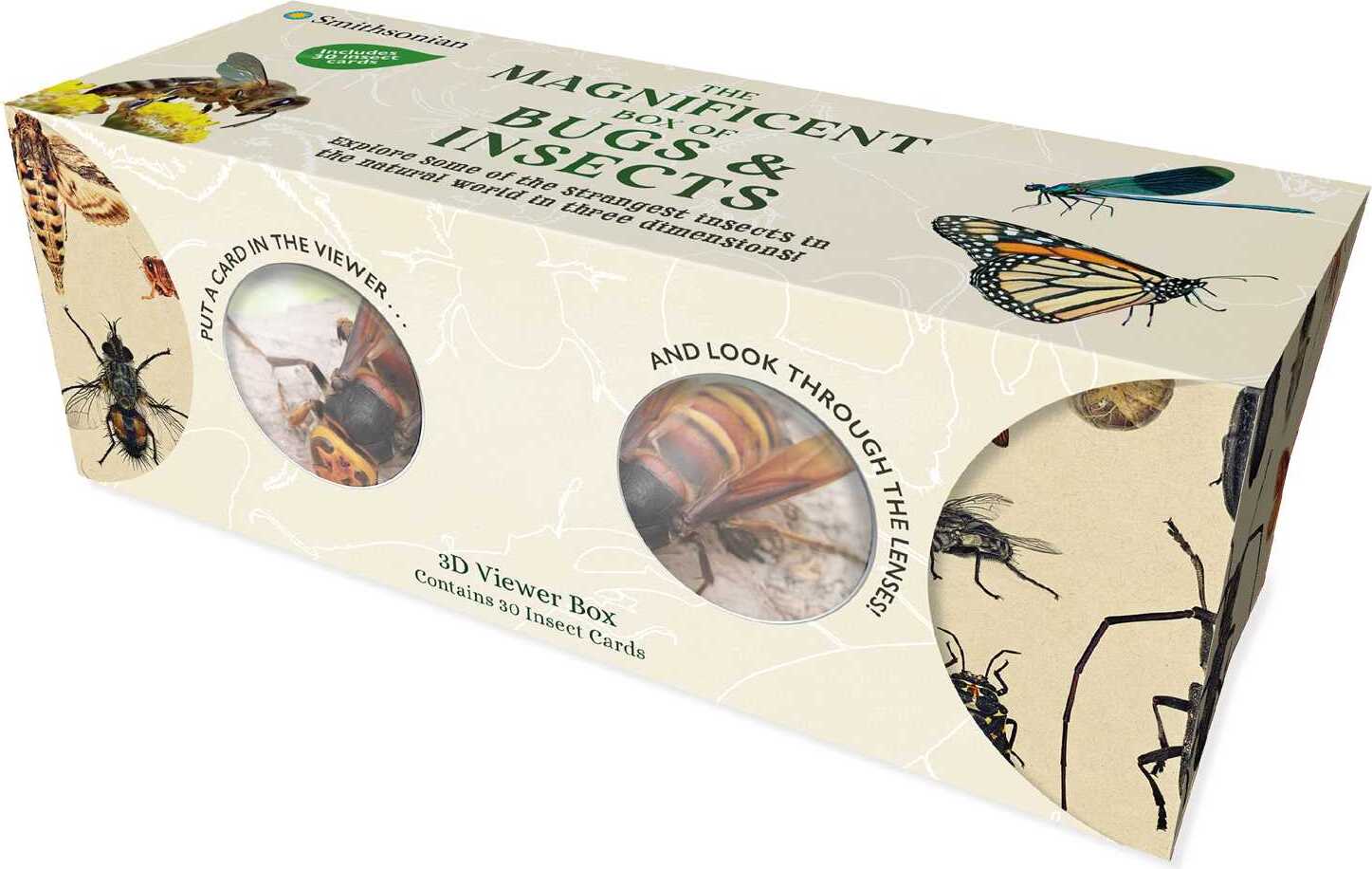 The Magnificent Box of Bugs and Insects