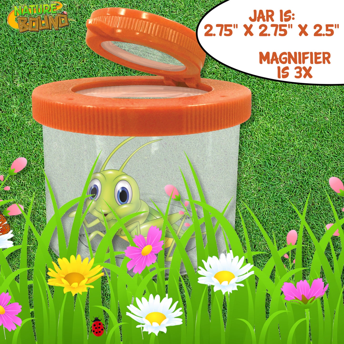 Magnifying Bug Viewer 
