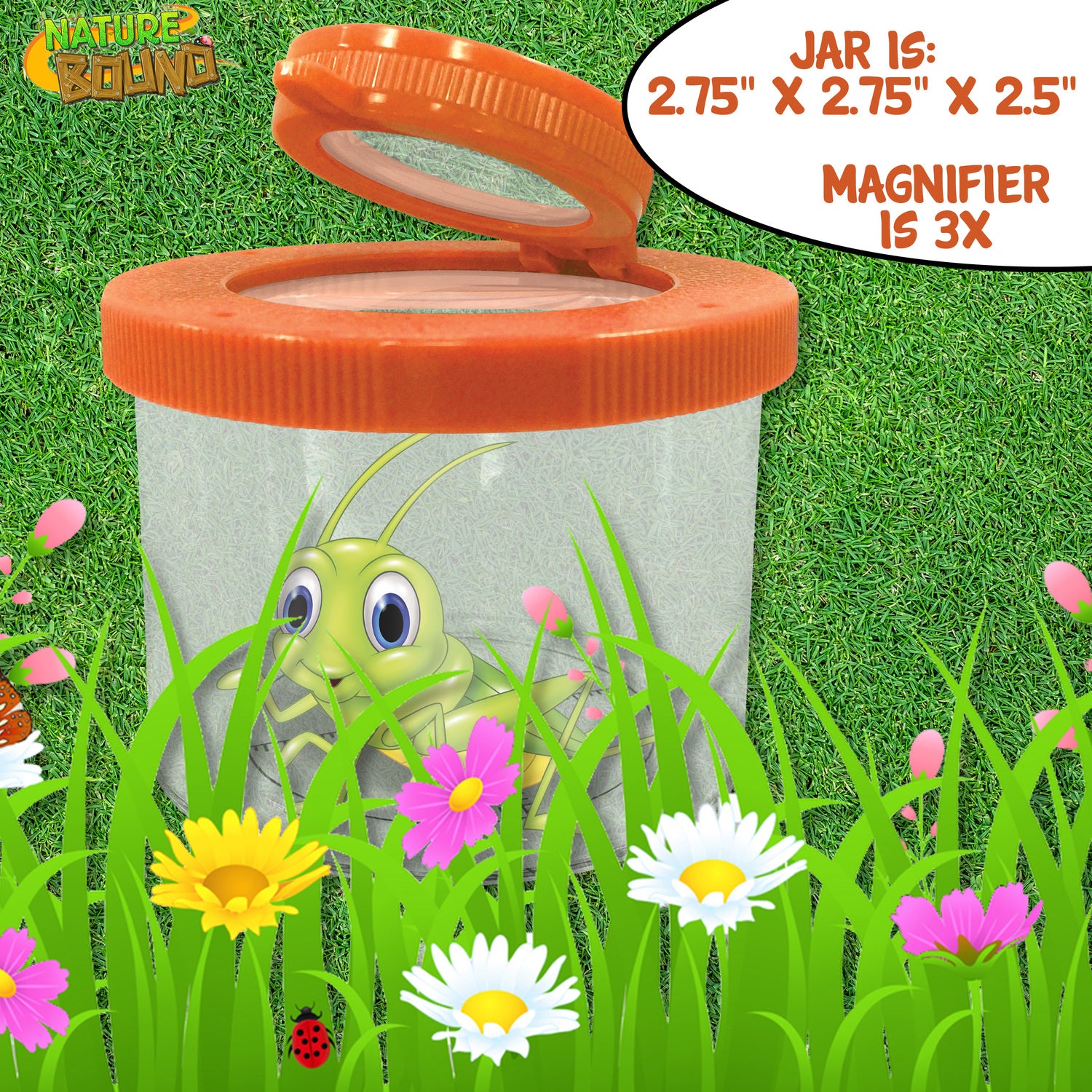 Magnifying Bug Viewer 