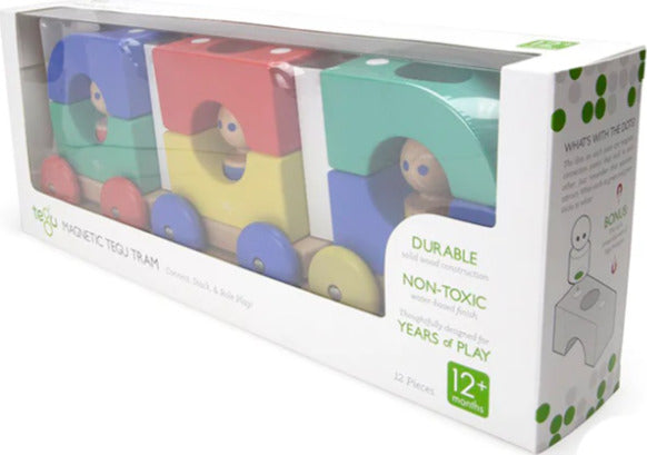 Magnetic Tegu Tram - Baby and Toddler - 12 pieces