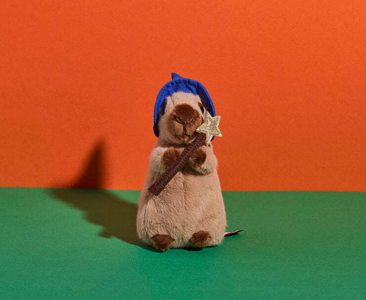 Wizard Capybara