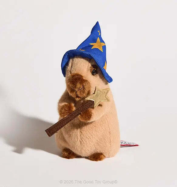Wizard Capybara