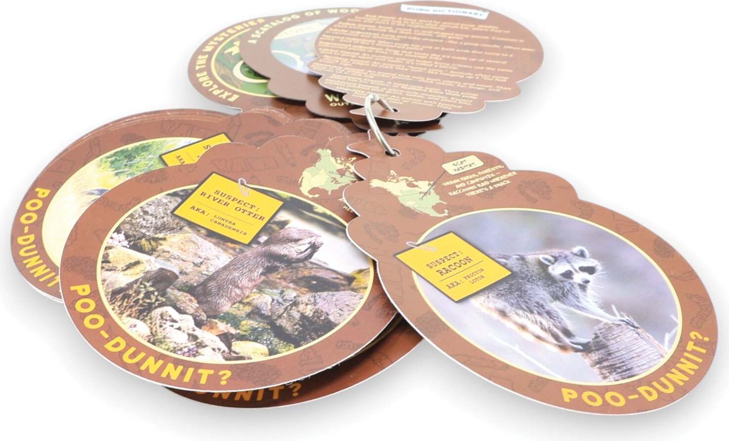 Poo Clues A Scatalog of Woodland Waste