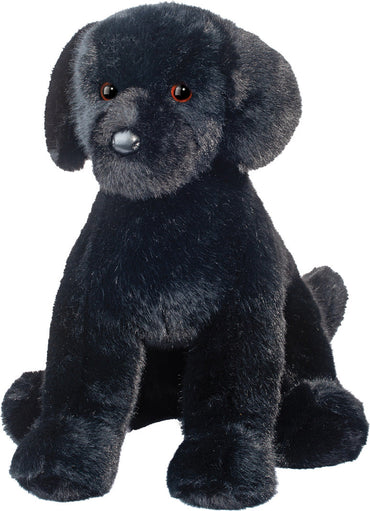 Spruce Black Lab