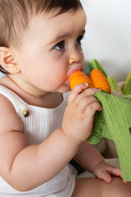 Oli & Carol Cathy the Carrot Mini Doudou Teether