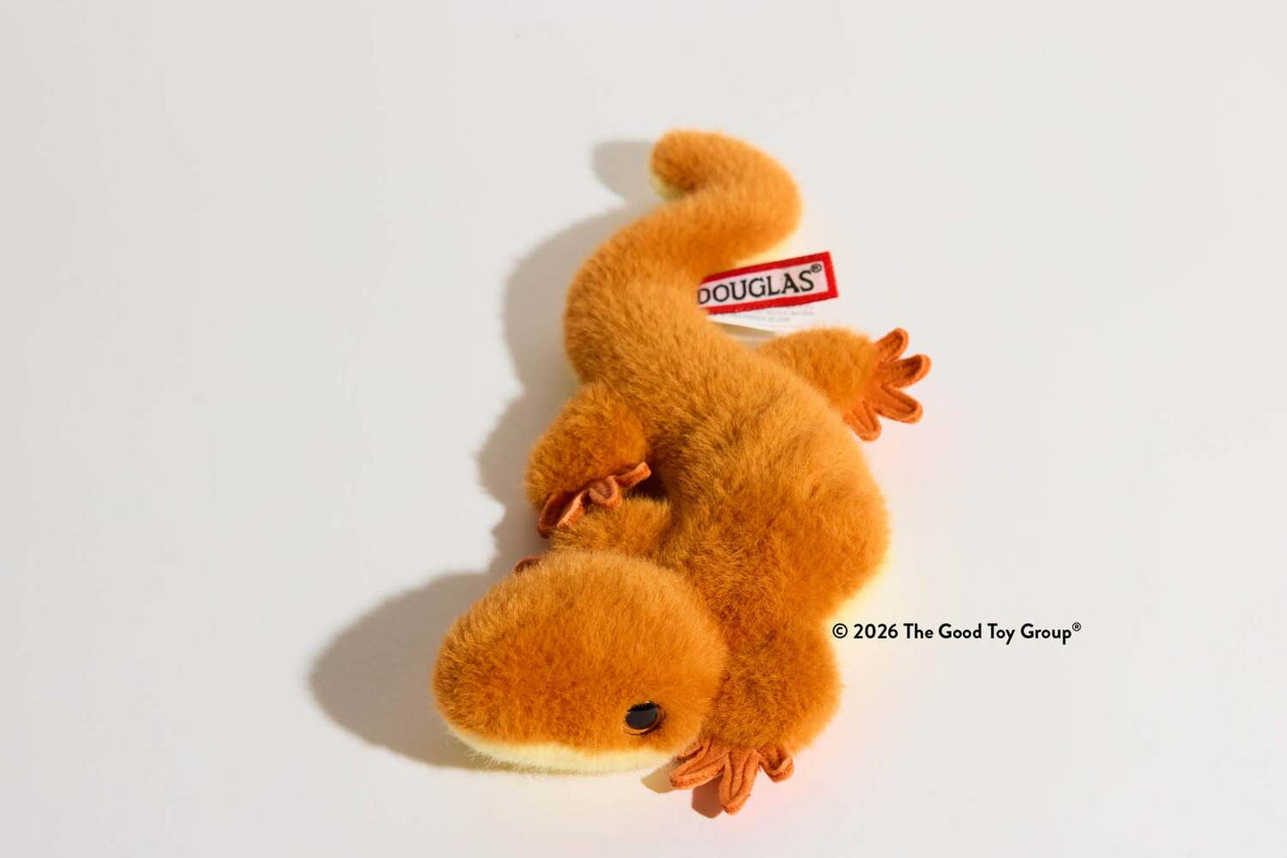 Sam Salamander