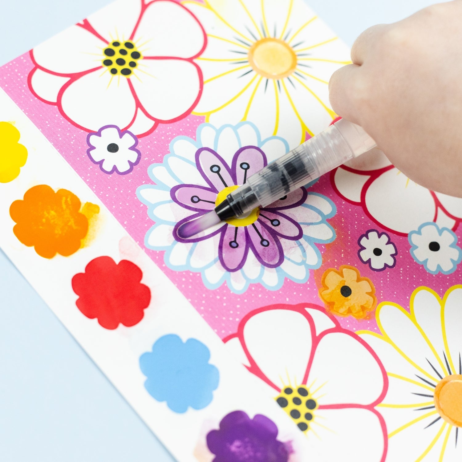 Paint-A-Picture - Butterflies & Flowers