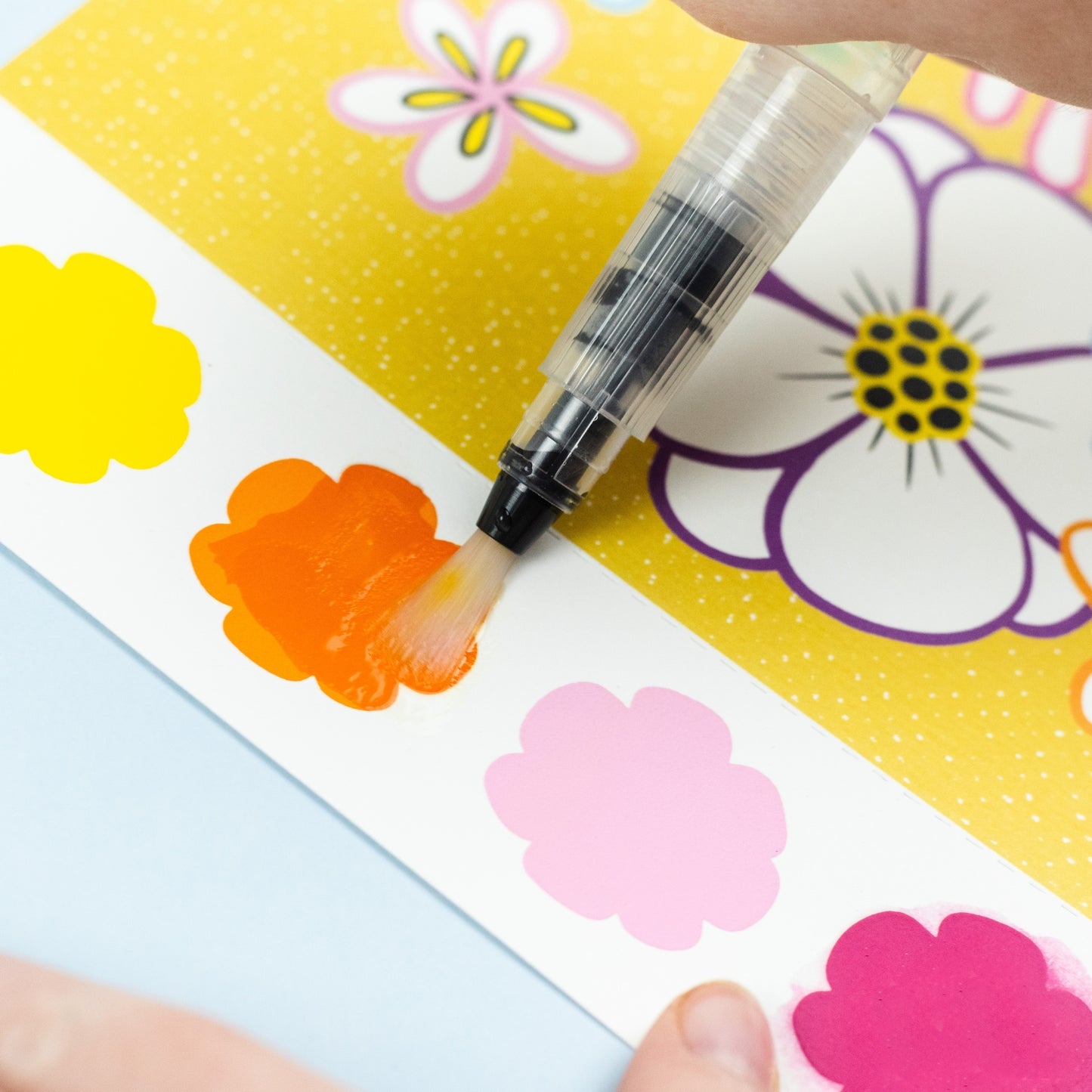 Paint-A-Picture - Butterflies & Flowers