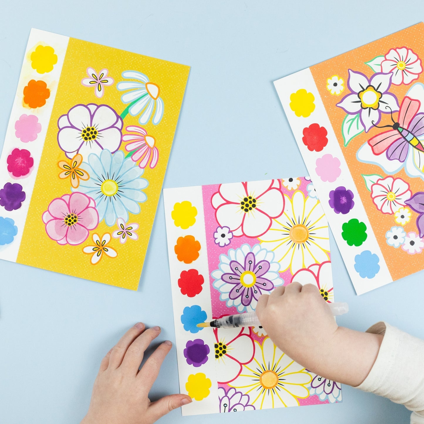 Paint-A-Picture - Butterflies & Flowers