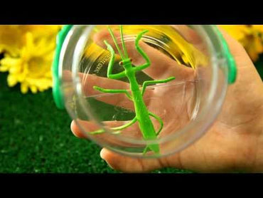 Best Ever Bug Jar