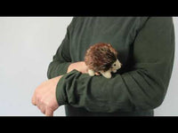 Mini Hedgehog Finger Puppet