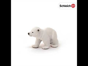 Polar Bear Cub, Walking