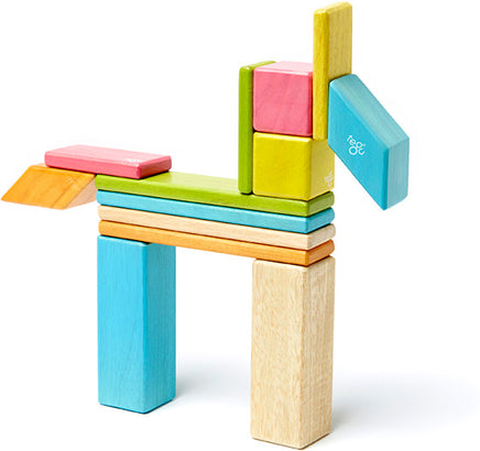 Tegu Tints Magnetic Wooden Blocks 14 Piece Set